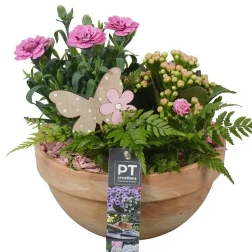 Garten.Arr PTPP2545 T19 H022