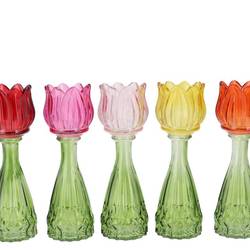 Glas Vase Tulpe multi mix 07x22cm