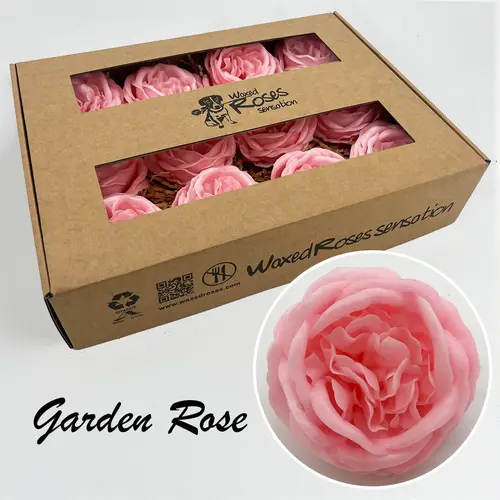 Seiden Wachs Gartenrose rosa
