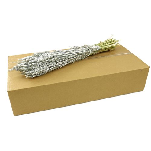Trocken Weizen Silber L70cm in Karton