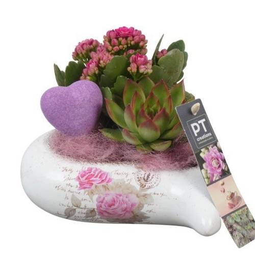 Kal.Arr PTVMB2272 T17 H016