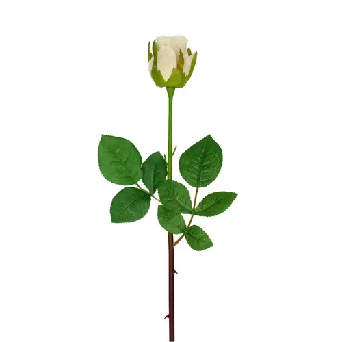 Seiden Rose creme L46cm