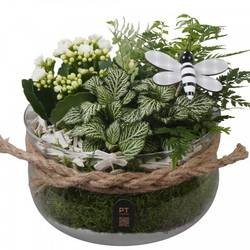 Kal.Arr PTIG2628 T19 H018