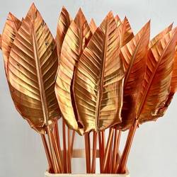 Strelitzia Blatt kupfer gefärbt 95cm