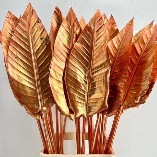 Strelitzia Blatt kupfer gefärbt 95cm