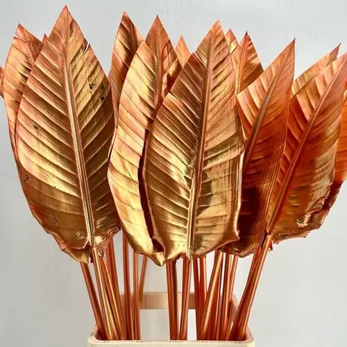 Strelitzia Blatt kupfer gefärbt 95cm