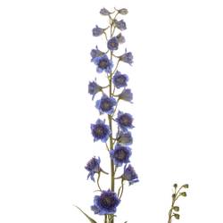 Delphinium lila/dunkel blau Sweet sesation 80cm