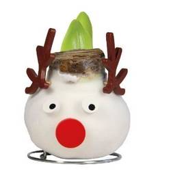 Amar.Bol Wachs Rentier rote Bl. 32cm H022