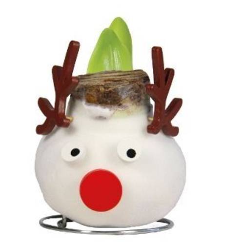 Amar.Bol Wachs Rentier rote Bl. 32cm H022