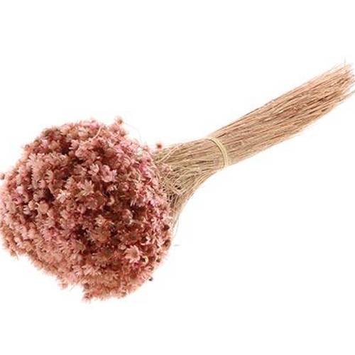 Trocken Marcela Strauss hell rosa L30cm 50gr