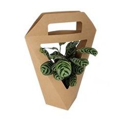 Tasche Karton 11x11x34cm