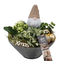 Kal.Arr PTCHG5712 Weihnachten T19 H023
