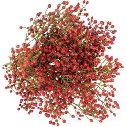 Hagebutte rot Rosefruits Elite 40cm