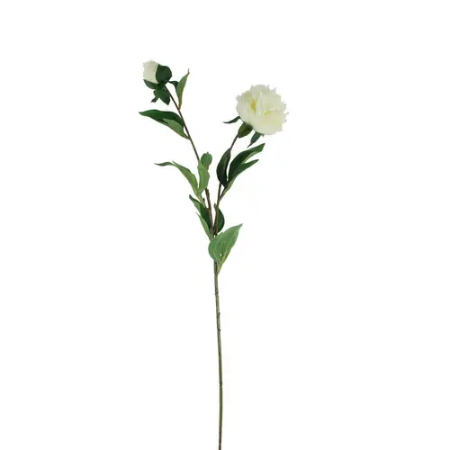 Seiden Pfingstrose creme L87cm