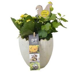 Kal.Arr PTPB6596 Ostern T11 H022