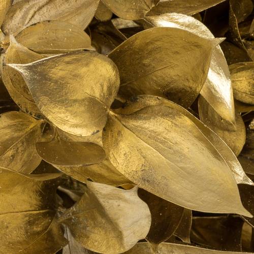 Ruskus gold gefärbt 60cm