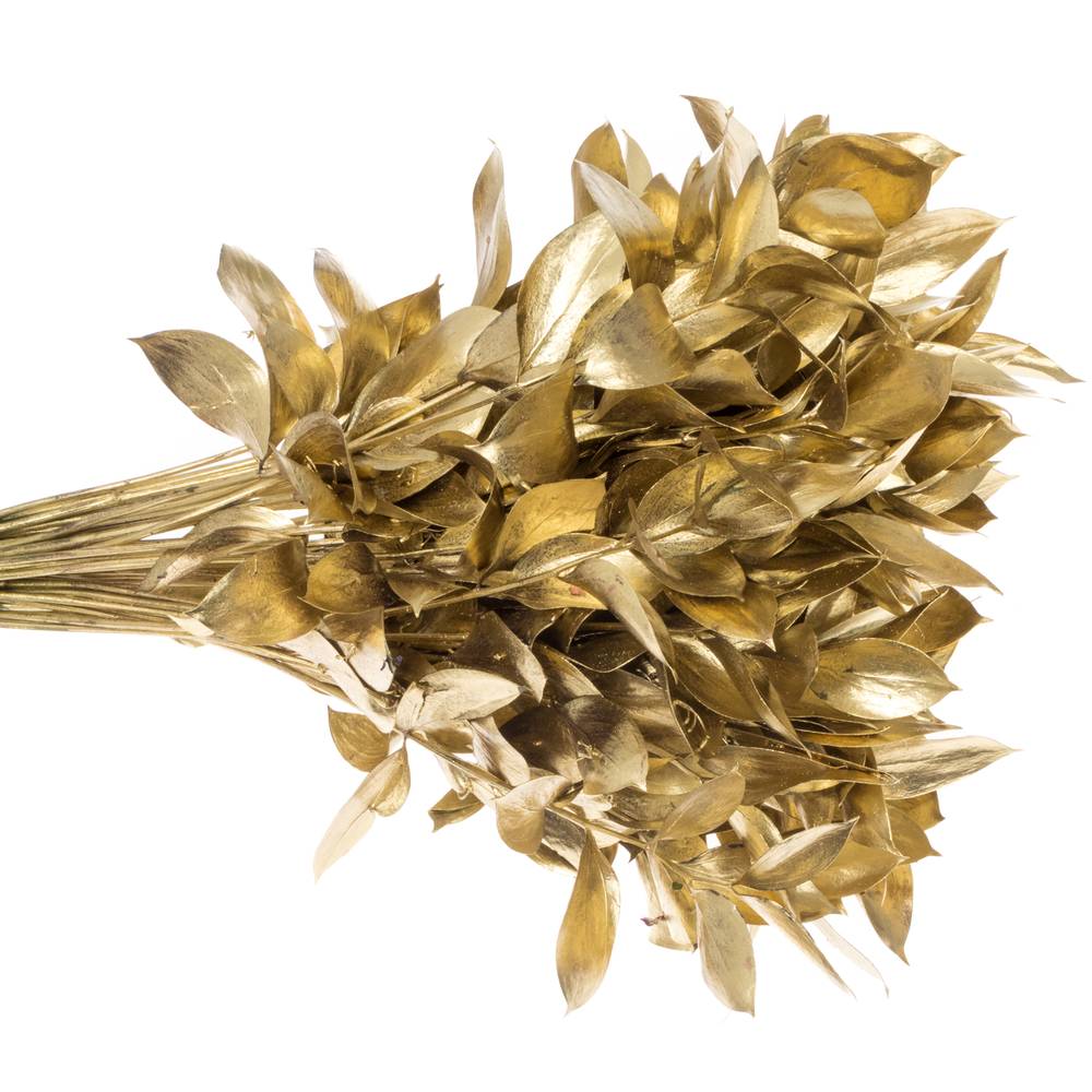 Ruskus gold gefärbt 60cm