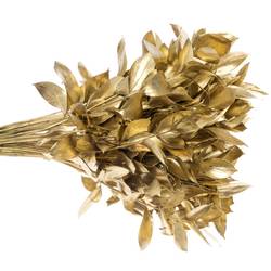 Ruskus gold gefärbt 60cm