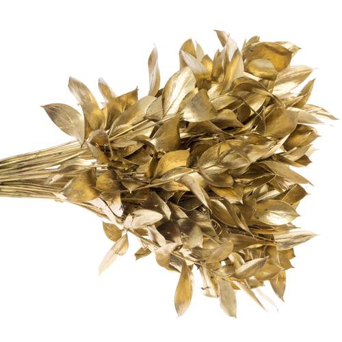 Ruskus gold gefärbt 60cm