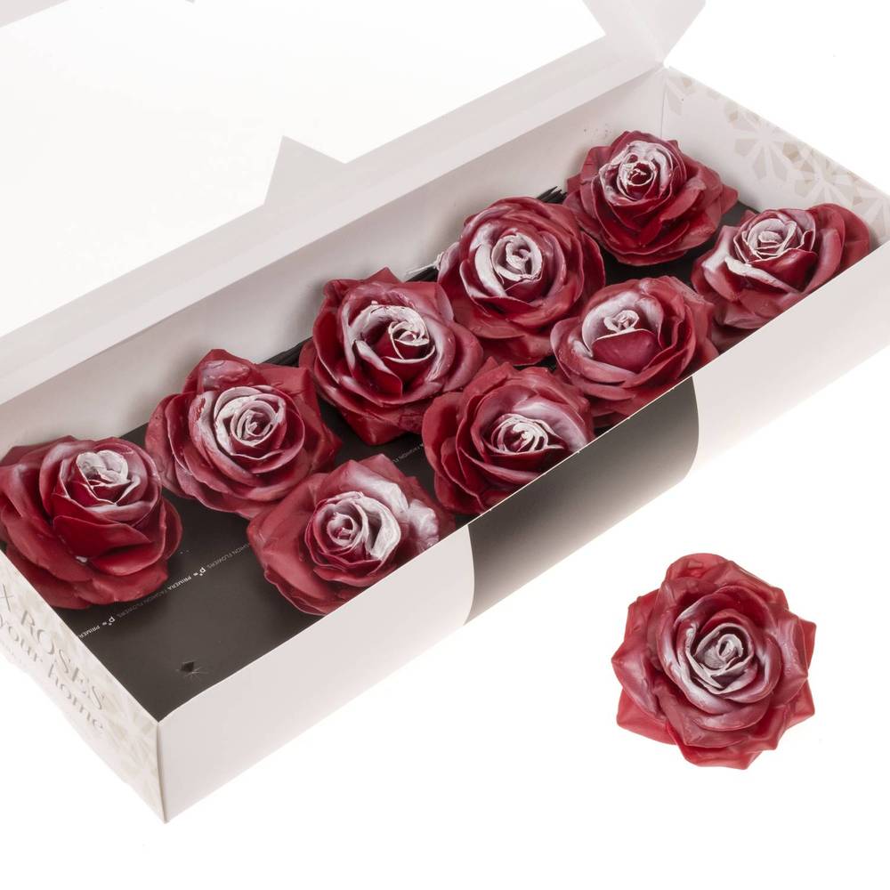 Seiden Wachs Rose b.rot/weiss d12cm (230) Blush