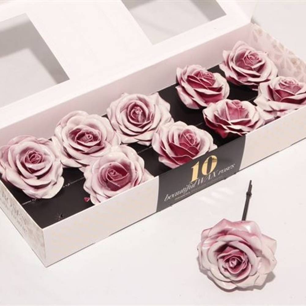 Seiden Wachs Rose b.rot/weiss d12cm (230) Blush