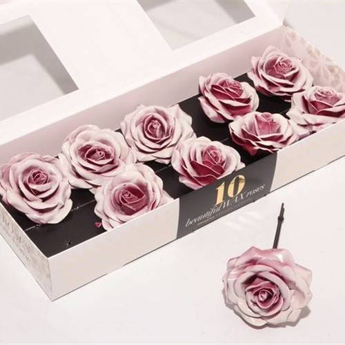 Seiden Wachs Rose b.rot/weiss d12cm (230) Blush