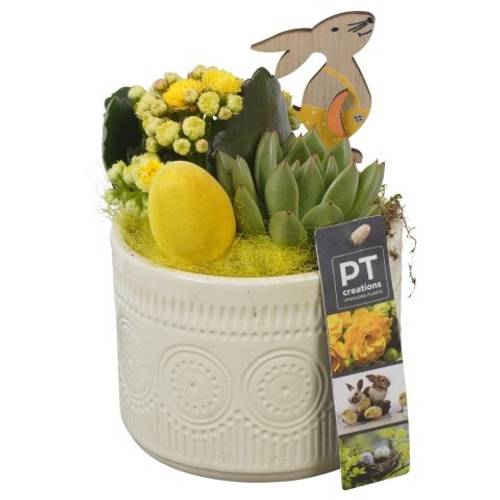 Kal.Arr PTPB6467 Ostern T12 H020
