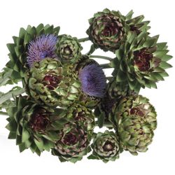 Artischocke lila 50cm