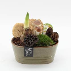 Amaryl.Arr-2508W weisse Bl. T23 H025