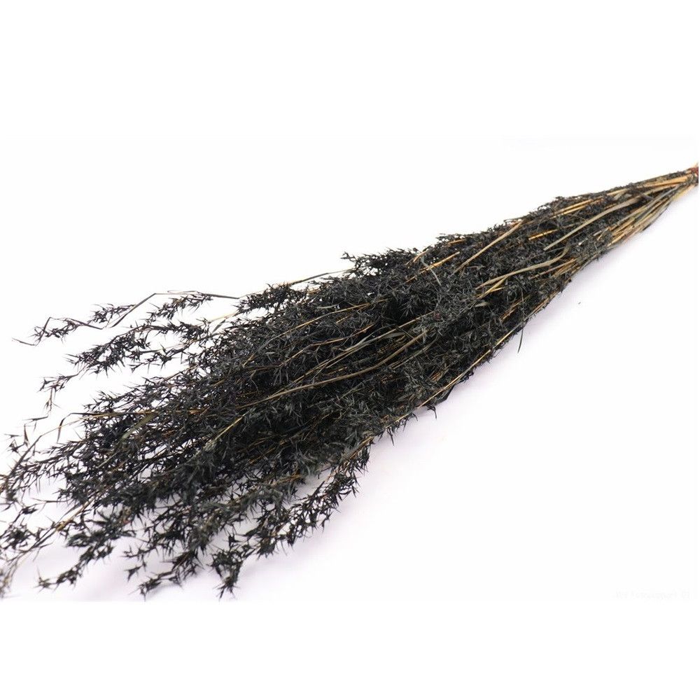 Trocken Beta Grass schwarz L100cm