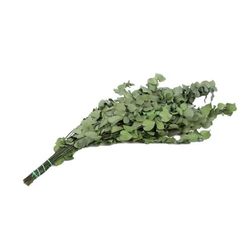 Trocken-Blumen Bopulus pres. 150g