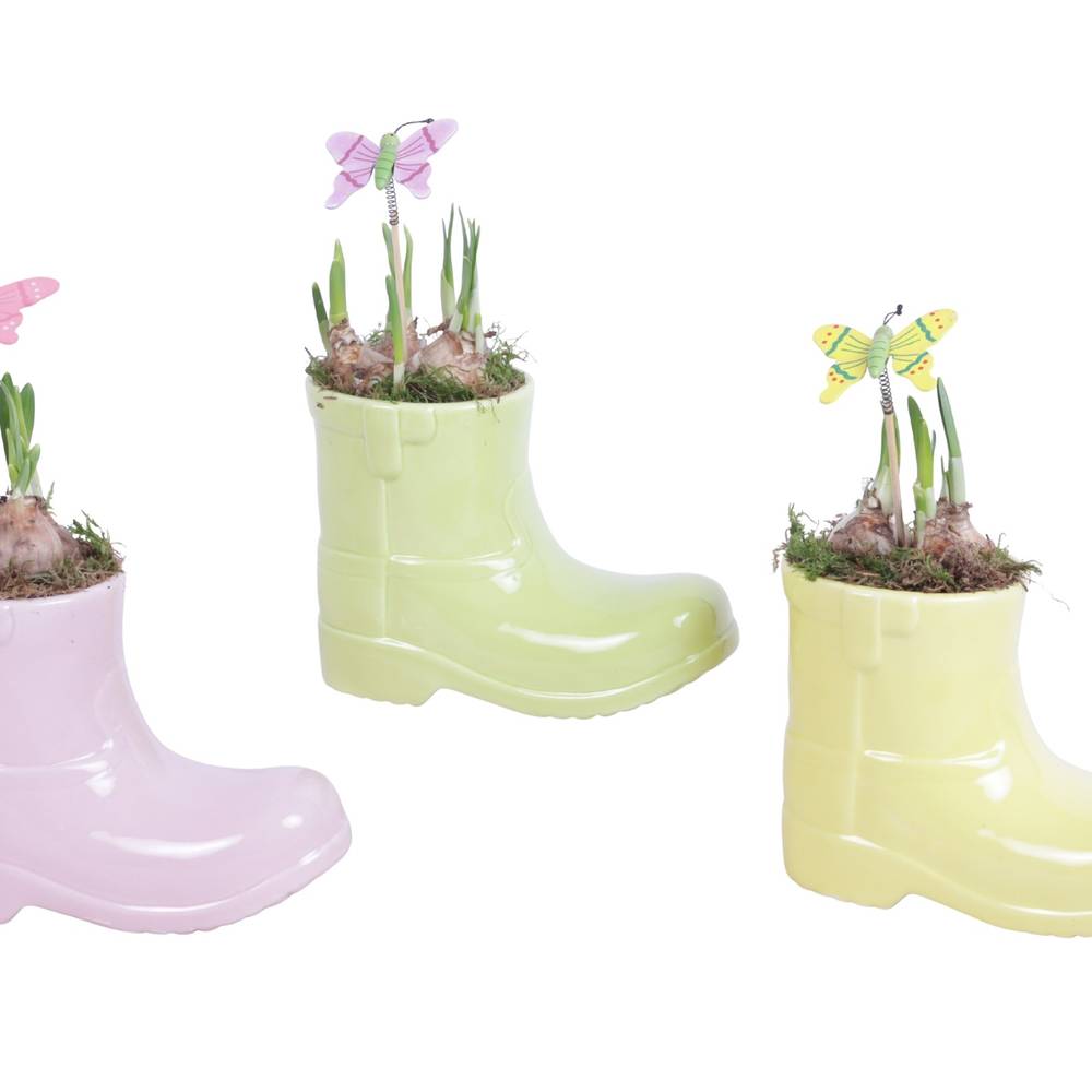 Narzis.Arr mix ES615N0688 T15 H020