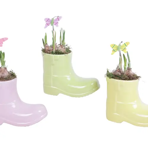 Narzis.Arr mix ES615N0688 T15 H020