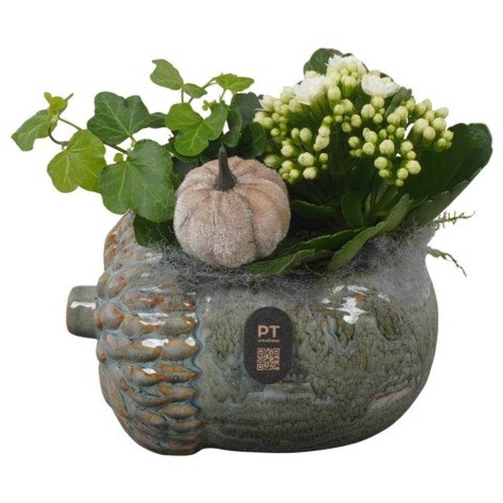 Kal.Arr PTHI3265 Herbst T15 H016