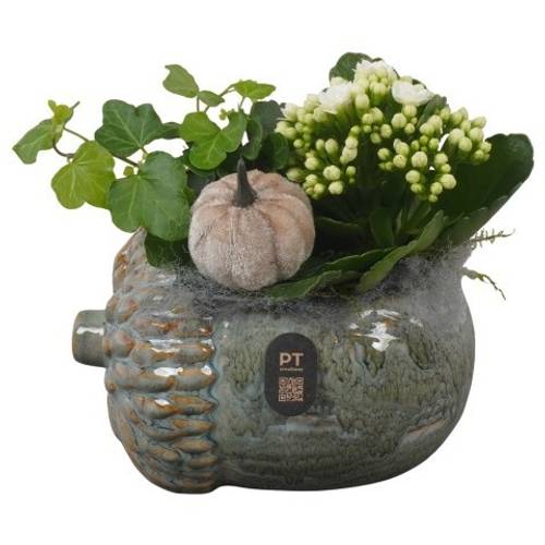 Kal.Arr PTHI3265 Herbst T15 H016