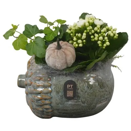 Kal.Arr PTHI3265 Herbst T15 H016
