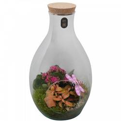 Flor.Arr PTIG2651 T18 H035