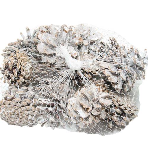Trocken Pinea weiss x15
