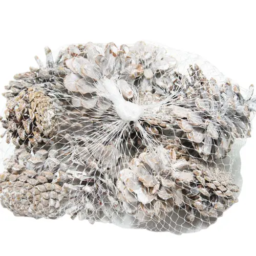Trocken Pinea weiss x15