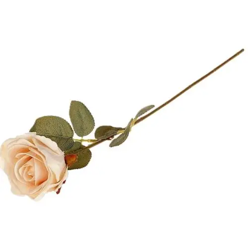 Seiden Rose Lady creme L52cm