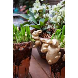 Osterhase Morsy gold D08cm H06cm