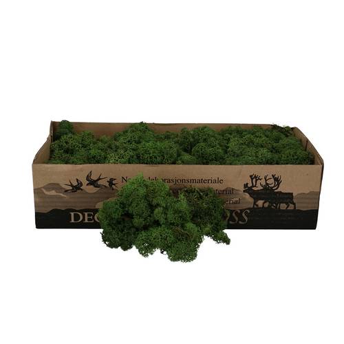 Islandmoos grün 500gr
