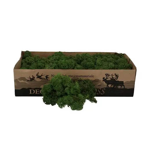 Islandmoos grün 500gr