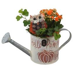 Kal.Arr PTHI3365 Herbst T12 H023
