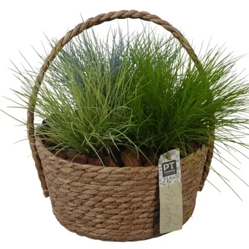 Garten.Arr PTOG1622 T22 H027