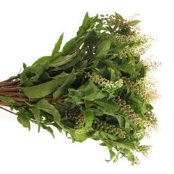 Carbozyn lila (Phytolacca)300Gramm