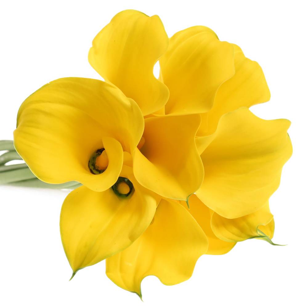 Calla gelb Medal 50cm