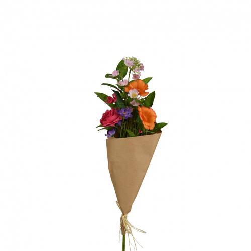 Seiden Strauss orange L70cm