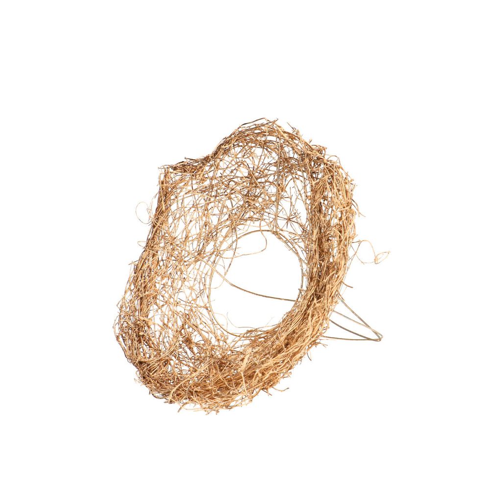 Strausshalter Mühlenbeckia gold D15cm