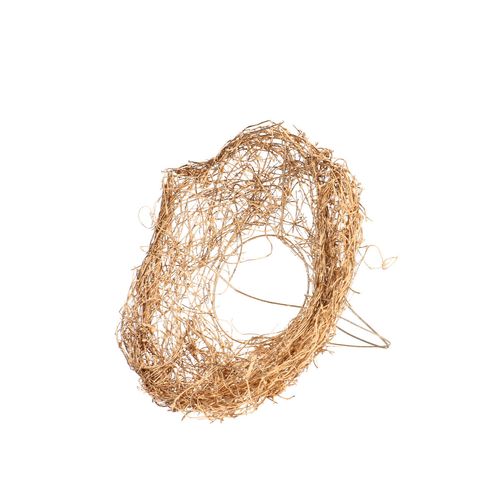 Strausshalter Mühlenbeckia gold D15cm